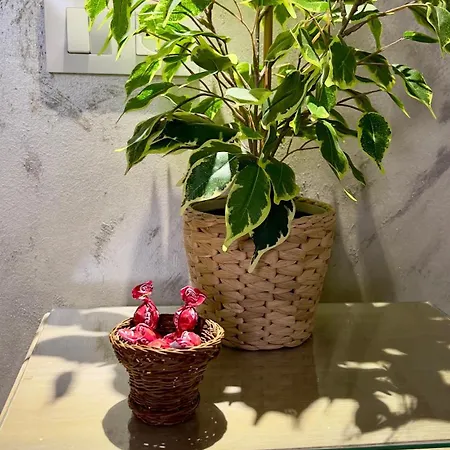 Wehostcostaluz Le Petit Palace Catedral Con Parking Gratuito Apartment *