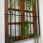 Appartement Wehostcostaluz Le Petit Palace Catedral Con Parking Gratuito Jerez de la Frontera