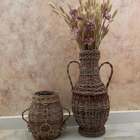 Wehostcostaluz Le Petit Palace Catedral Con Parking Gratuito Apartment *