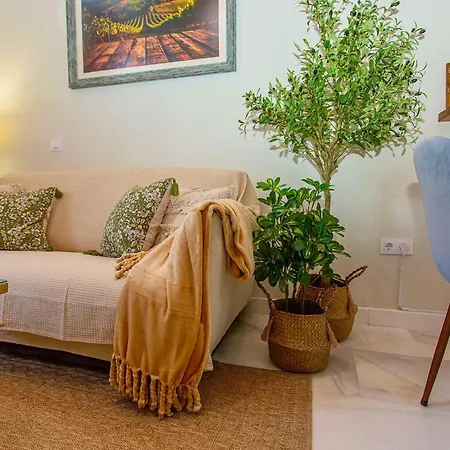 Wehostcostaluz Le Petit Palace Catedral Con Parking Gratuito Apartment *