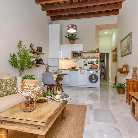 Wehostcostaluz Le Petit Palace Catedral Con Parking Gratuito ヘレス