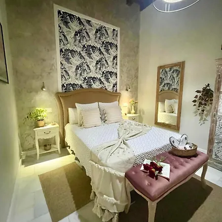 Wehostcostaluz Le Petit Palace Catedral Con Parking Gratuito アパート *