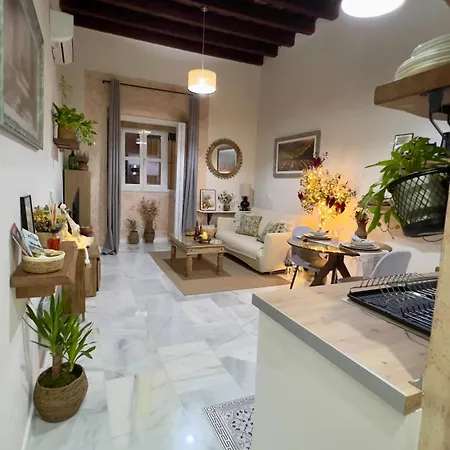 Wehostcostaluz Le Petit Palace Catedral Con Parking Gratuito Apartment