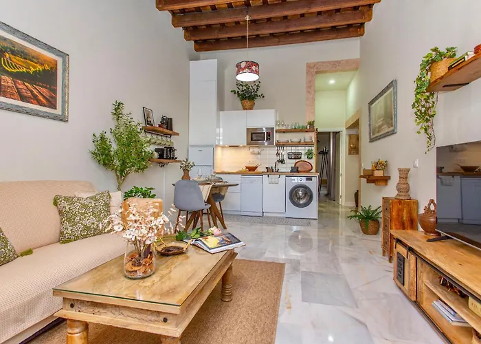 Wehostcostaluz Le Petit Palace Catedral Con Parking Gratuito Jerez de la Frontera