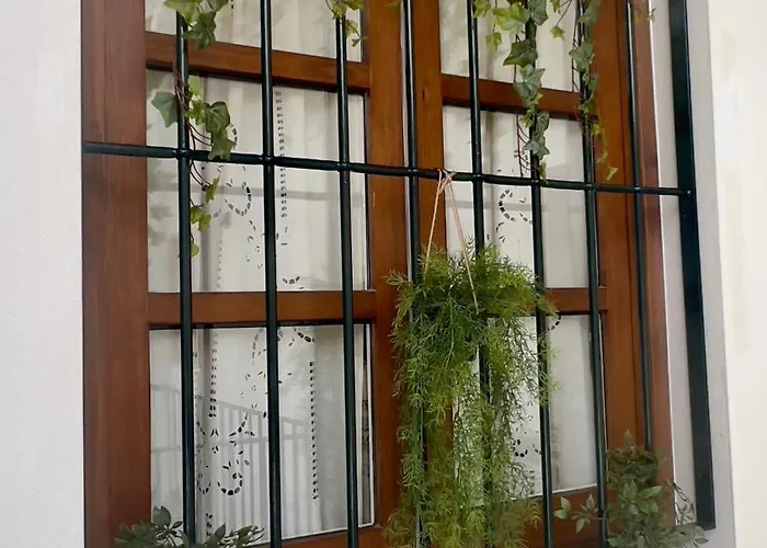 Lägenhet Wehostcostaluz Le Petit Palace Catedral Con Parking Gratuito Jerez de la Frontera