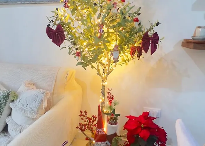 Wehostcostaluz Le Petit Palace Catedral Con Parking Gratuito *