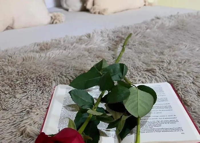 Wehostcostaluz Le Petit Palace Catedral Con Parking Gratuito