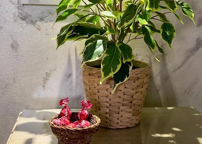 Wehostcostaluz Le Petit Palace Catedral Con Parking Gratuito شقة *